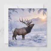 Kerstseizoen Groet Eland in Sneeuw (Voorkant)