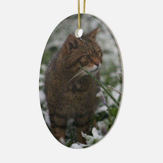 Kerstsieraad - Schotse wilde kat Keramisch Ornament (Links)