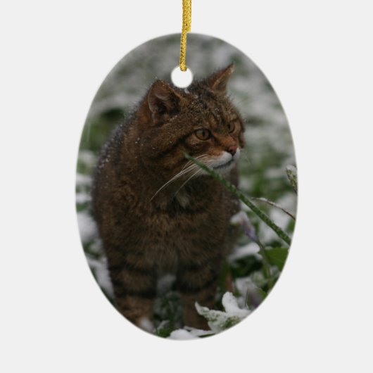 Kerstsieraad - Schotse wilde kat Keramisch Ornament (Voorkant)