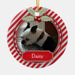 Kerstsieraden voor huisdieren met suikerstokstrepe keramisch ornament
