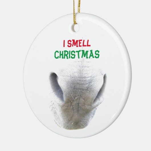 kerstsierbloem met edige neus keramisch ornament (Links)