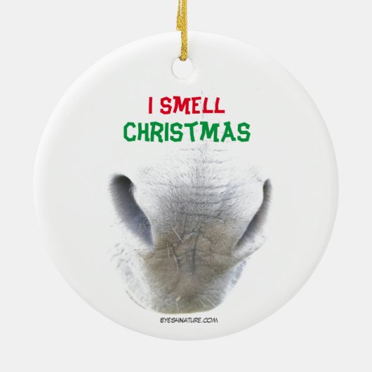 kerstsierbloem met edige neus keramisch ornament (Achterkant)