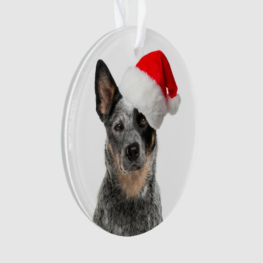kerstsierbloem met kattenhond ornament (voorkant)