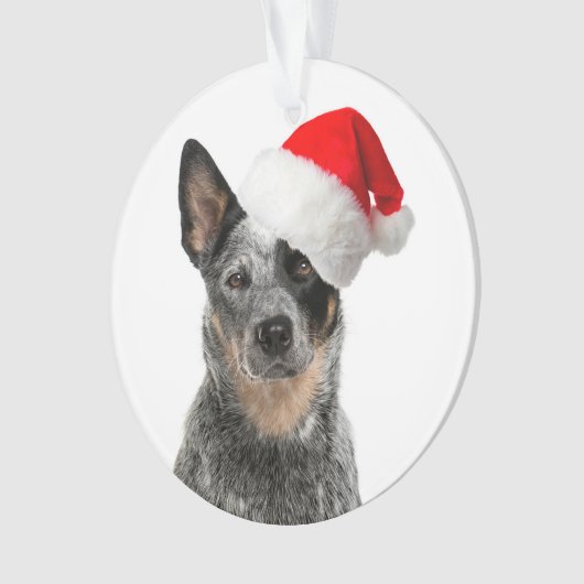 kerstsierbloem met kattenhond ornament (voorkant)