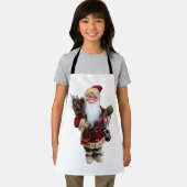 kerstsierpop schort (Insitu)