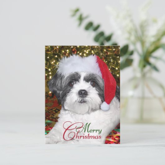 Kerstsjiih Tzu Dog Feestdagenkaart (Staand voorkant)
