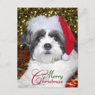 Kerstsjiih Tzu Dog Feestdagenkaart
