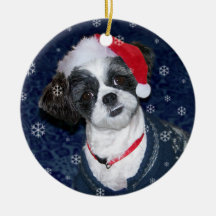 Kerstsjiih Tzu Dog