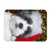 Kerstsjiih Tzu Dog Magneet (Horizontaal)