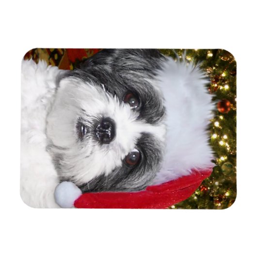 Kerstsjiih Tzu Dog Magneet (Horizontaal)