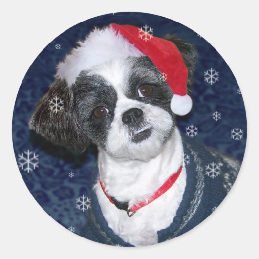 Kerstsjiih Tzu Dog Ronde Sticker (Voorkant)