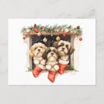 Kerstsjiih Tzu Dogs