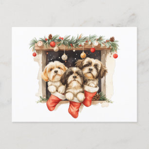 Kerstsjiih Tzu Dogs Briefkaart