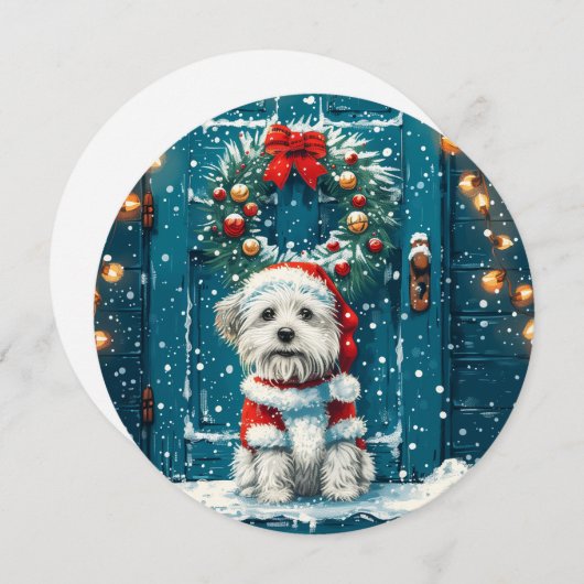 Kerstsjiih Tzu Dogs Feestdagenkaart (Voorkant / Achterkant)