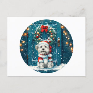 Kerstsjiih Tzu Dogs Feestdagenkaart