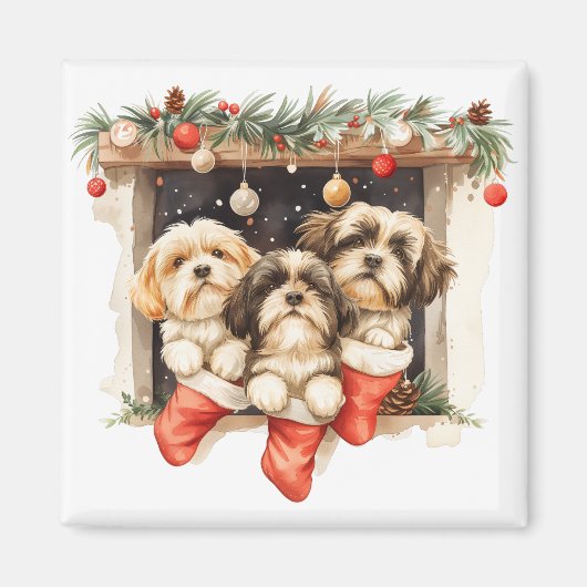 Kerstsjiih Tzu Dogs Magneet (Voorkant)