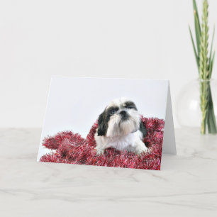 Kerstsjiih Tzu Feestdagen Kaart