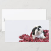 Kerstsjiih Tzu Feestdagenkaart (Voorkant / Achterkant)