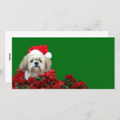 Kerstsjiih Tzu Feestdagenkaart (Voorkant / Achterkant)