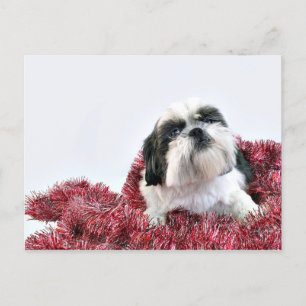 Kerstsjiih Tzu Feestdagenkaart