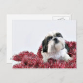 Kerstsjiih Tzu Feestdagenkaart (Voorkant / Achterkant)