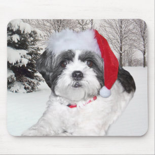 Kerstsjiih Tzu Muismat
