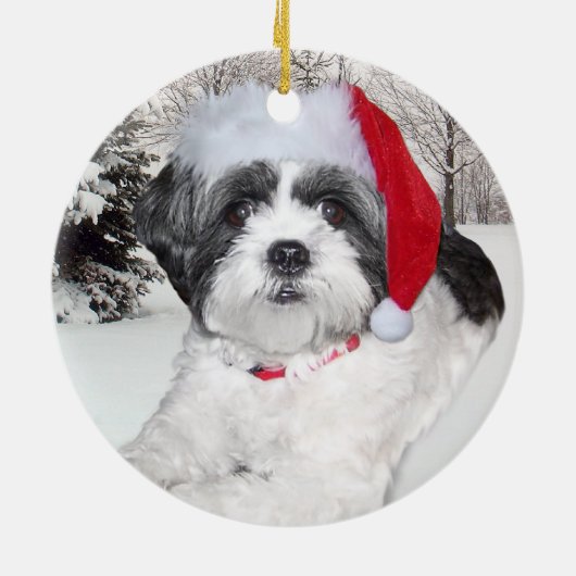 Kerstsjiih Tzu Ornament (Achterkant)