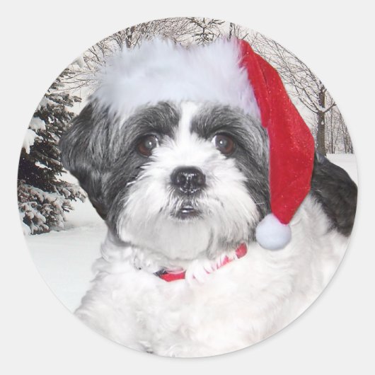 Kerstsjiih Tzu Ronde Sticker (Voorkant)