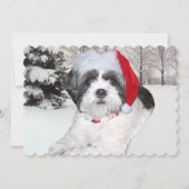 Kerstsjiitische Tzu in sneeuw Feestdagenkaart (Voorkant)