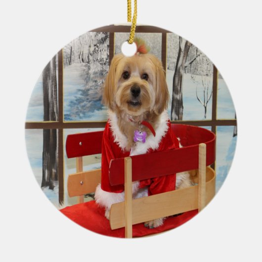 Kerstsjiitische Tzu-Speelgoed-hond op een gevlekte Keramisch Ornament (Voorkant)