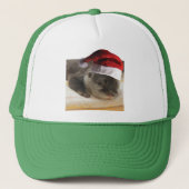 Kerstslaapstand Otter Trucker Pet (Voorkant)