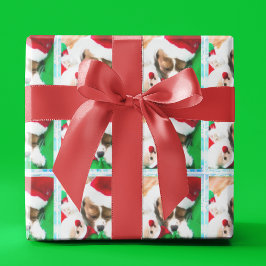 Kerstslapende Cavalier King Charles-puppy Cadeaupapier