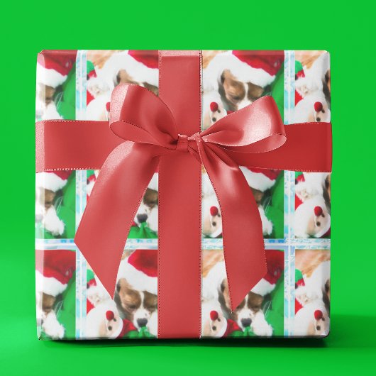 Kerstslapende Cavalier King Charles-puppy Cadeaupapier