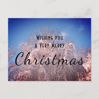 Kerstsneeuwbomen! Briefkaart