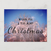 Kerstsneeuwbomen! Briefkaart (Voorkant)