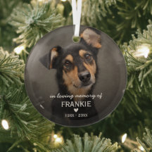 Kerstsouvenir voor huisdierhond foto ter nagedacht