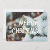 Kerstsparren tak en winterlichten kaart (Voorkant)