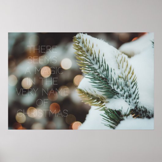 Kerstsparren tak en winterlichten poster (Voorkant)