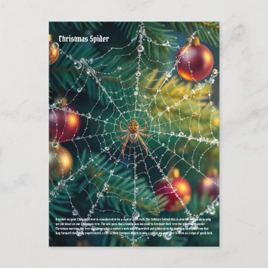 kerstspin briefkaart (Voorkant)