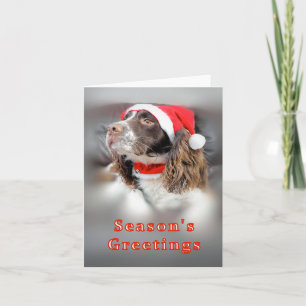 KerstSpringer Spaniel Kaart