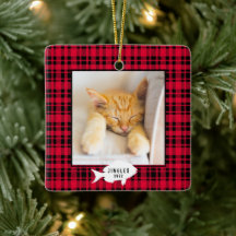 Kerststal rood geruit kattennaam Kerstmis