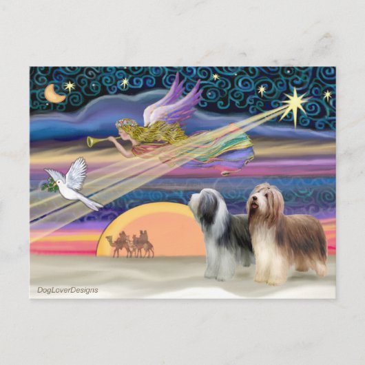 Kerstster - Bearded Collies (twee) Feestdagenkaart (Voorkant)