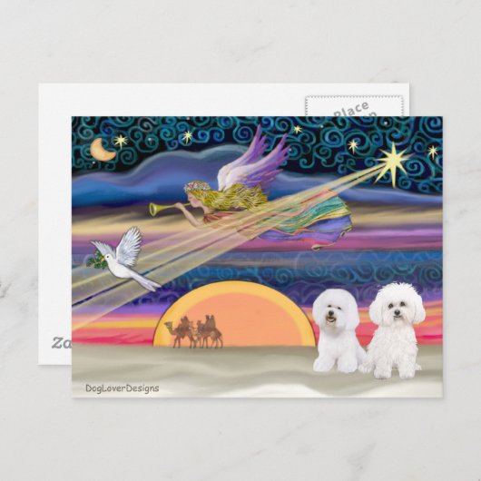 Kerstster - Bichon Frise (twee) Feestdagenkaart (Voorkant / Achterkant)