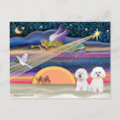 Kerstster - Bichon Frise (twee) Feestdagenkaart (Voorkant)