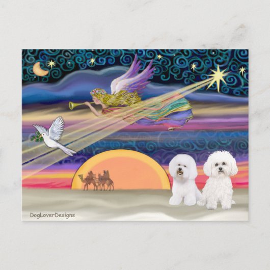 Kerstster - Bichon Frise (twee) Feestdagenkaart (Voorkant)