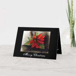 Kerstster Euphorbia Kaart