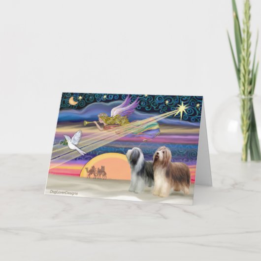 Kerstster - Gedekte collies (twee) Feestdagen Kaart (Voorkant)