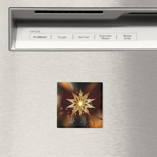 Kerstster Magneet (Insitu (Vaatwasser))