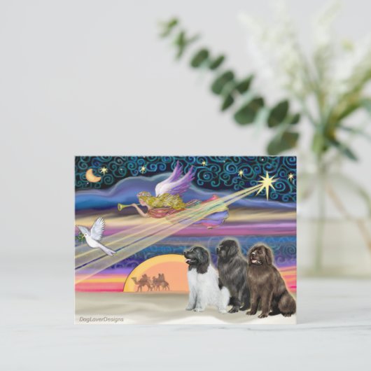 Kerstster - Newfoundland (drie) Feestdagenkaart (Staand voorkant)