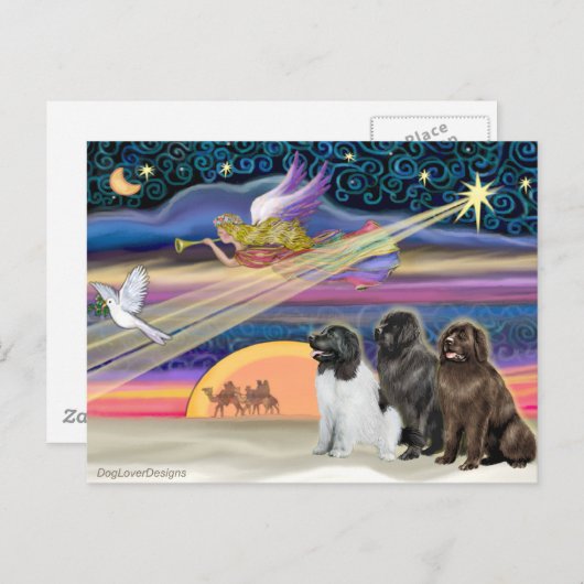 Kerstster - Newfoundland (drie) Feestdagenkaart (Voorkant / Achterkant)